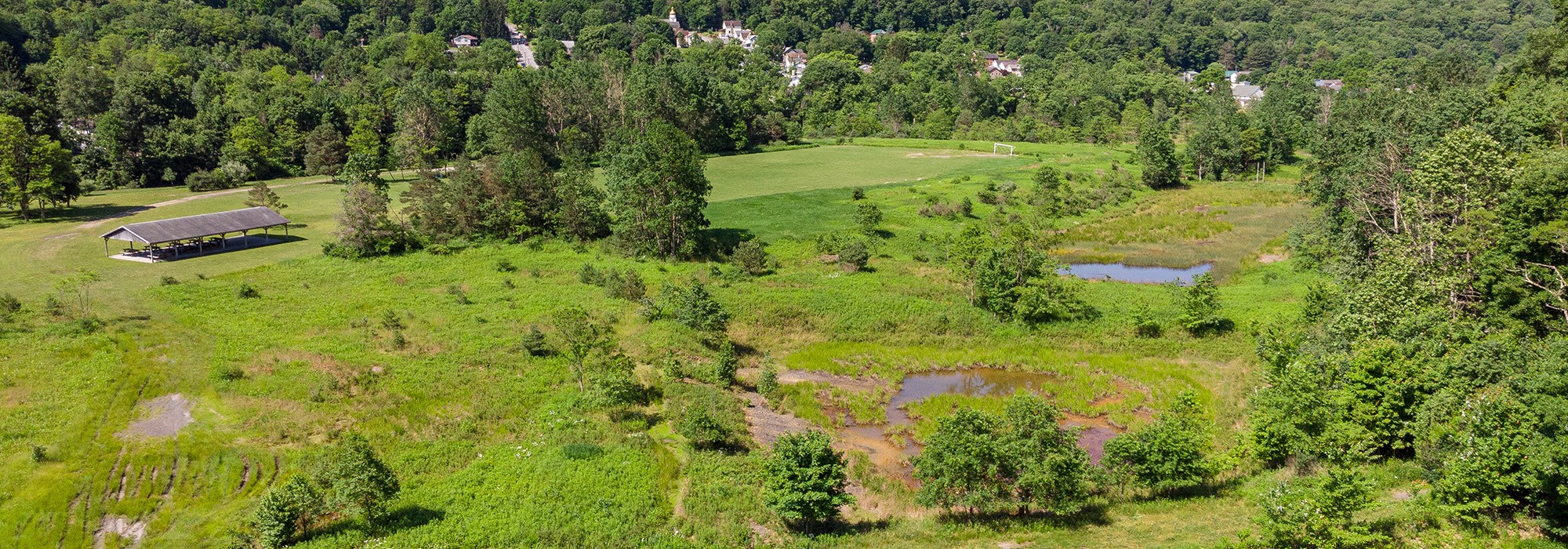 Vintondale Reclamation Park TCLF