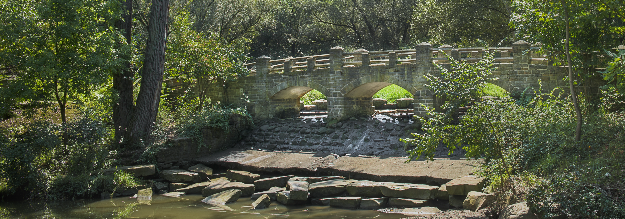 Garfield Park Reservation 