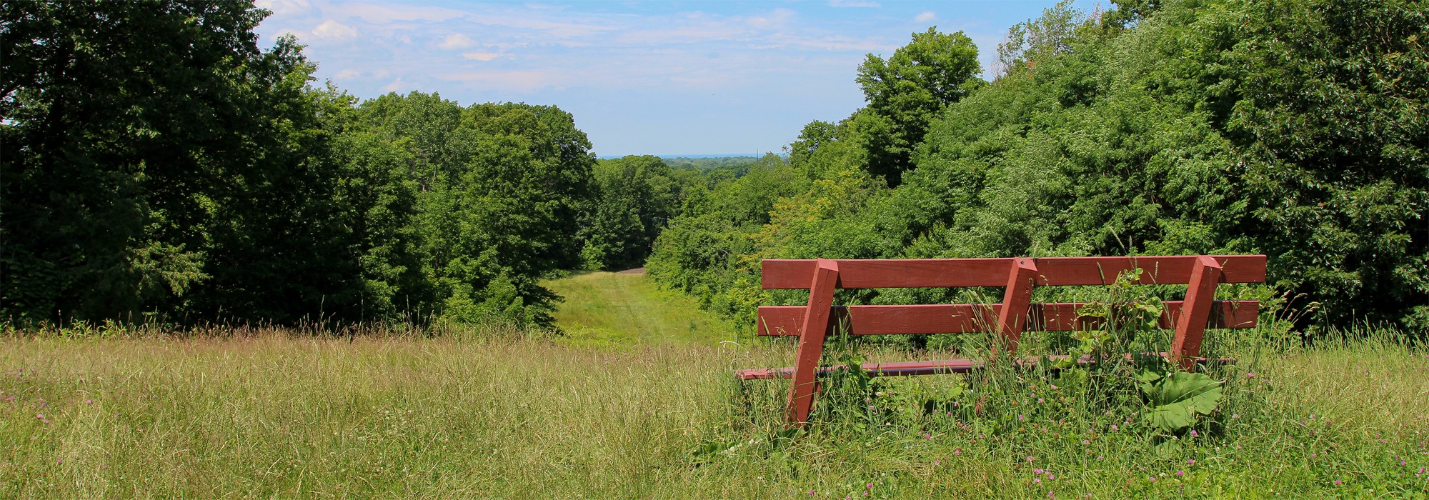 Forest Hill Park 