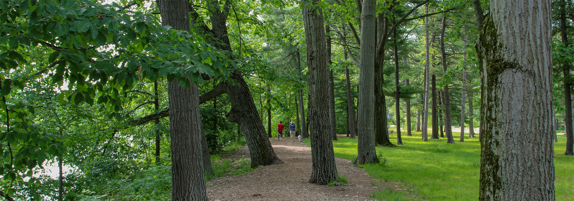 Shaker Lakes