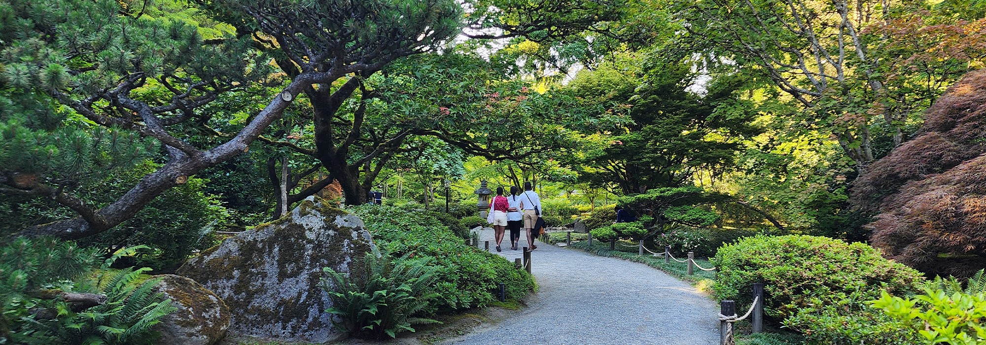 Seattle Japanese Garden | TCLF