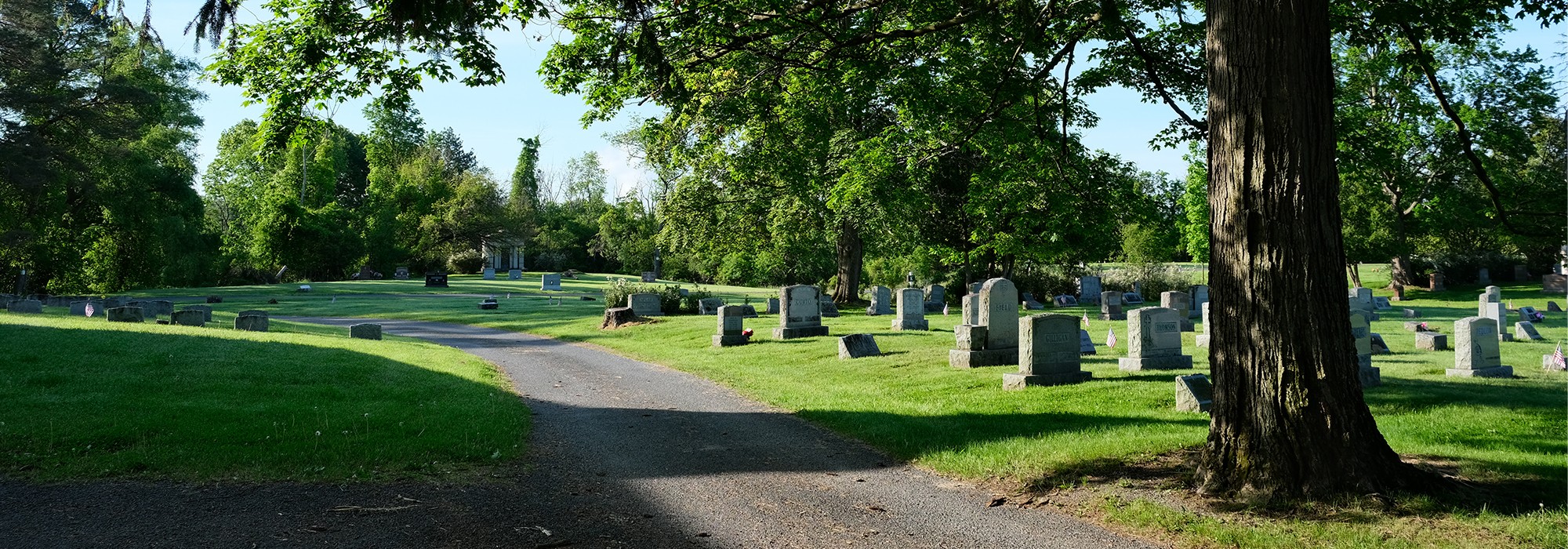 Graceland Cemetery, Albany, NY - Photo by Allan Greller (2025)