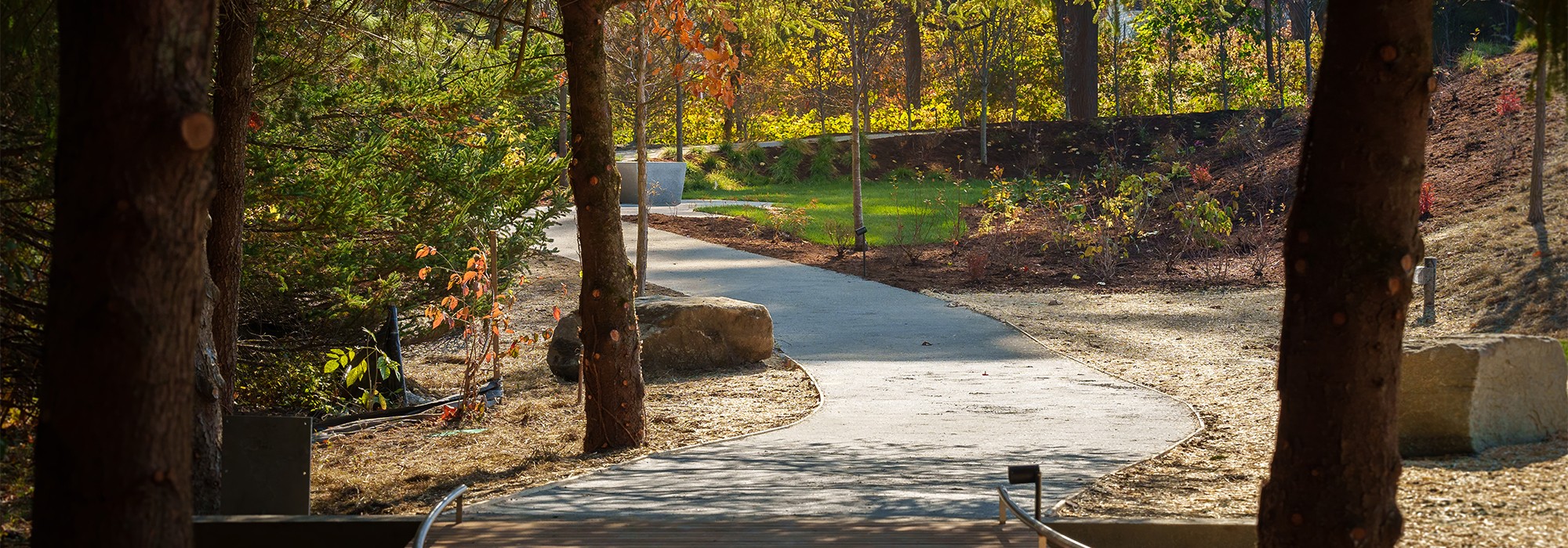 Sculpture Garden Pathway, Aldrich Contemporary Art Museum, Ridgefield, CT