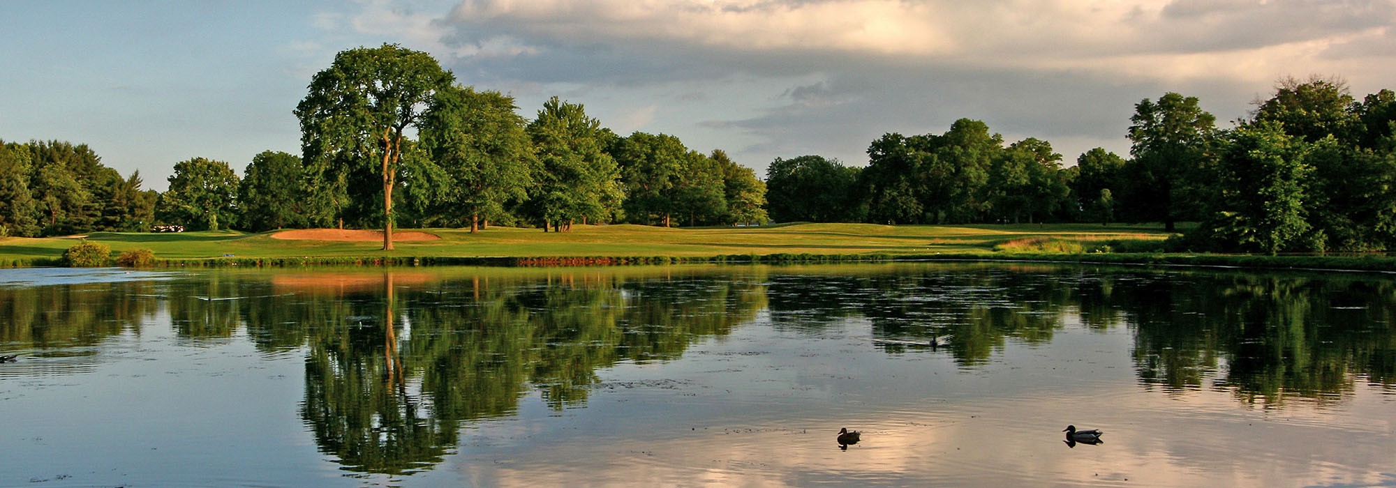 Two ducks on a pond with trees in the background.