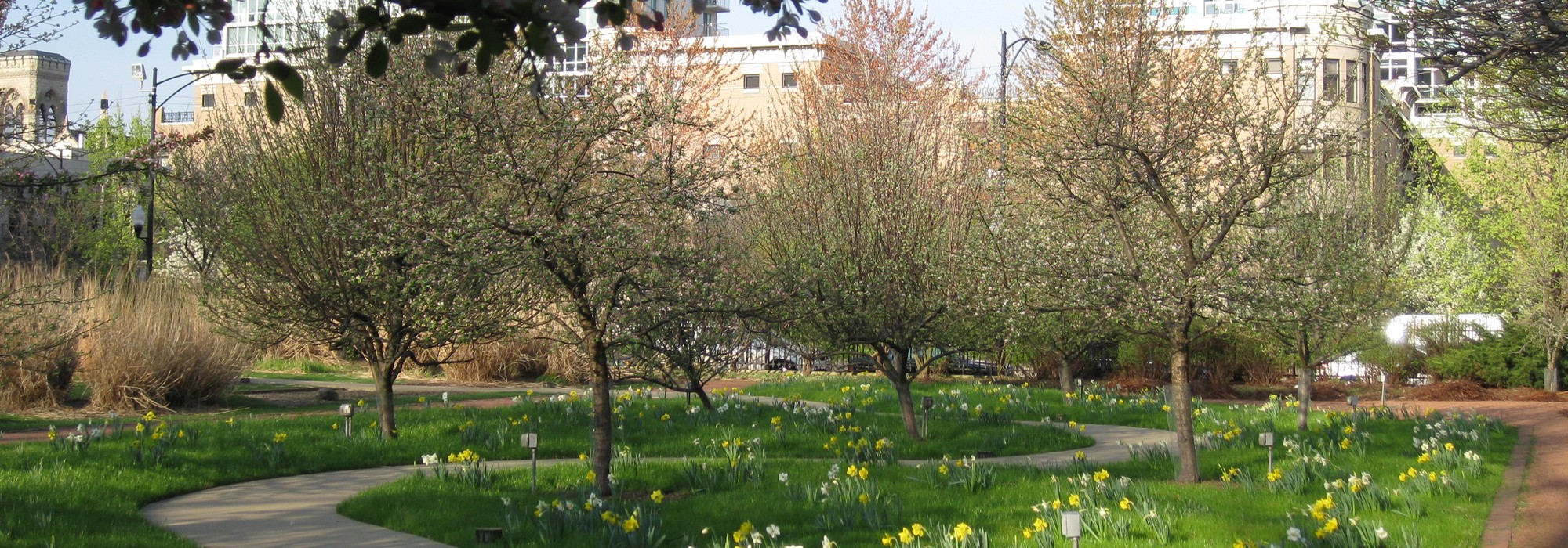 Curving path, grass and trees on either side; buildings in the distance