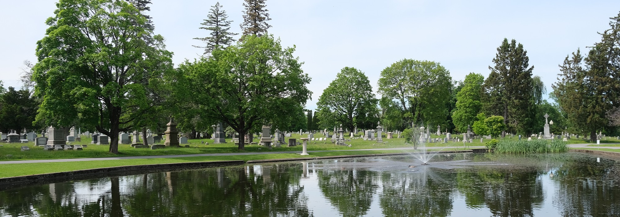 Albany Rural Cemetery | TCLF
