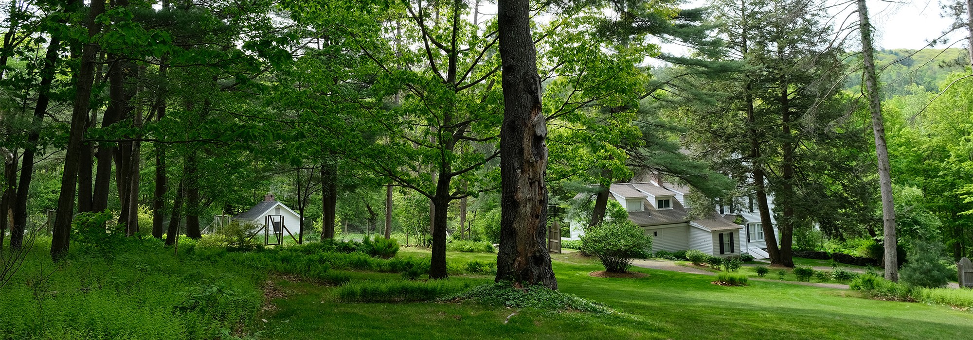 Trees in foreground on sloping top; house in background