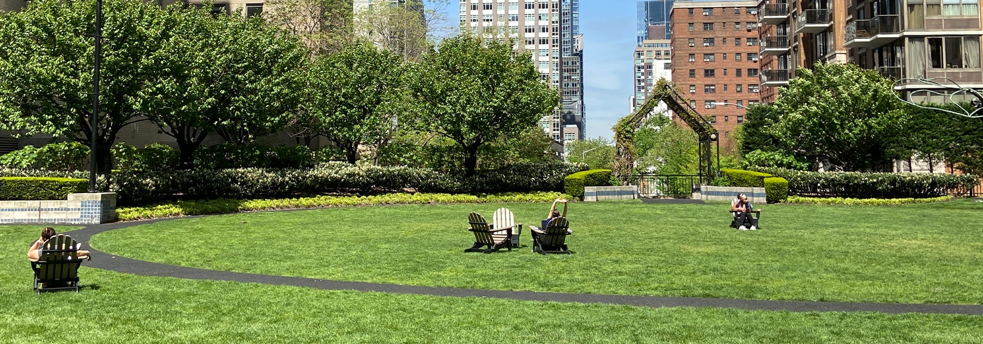 Lawn with circular path, buildings in background