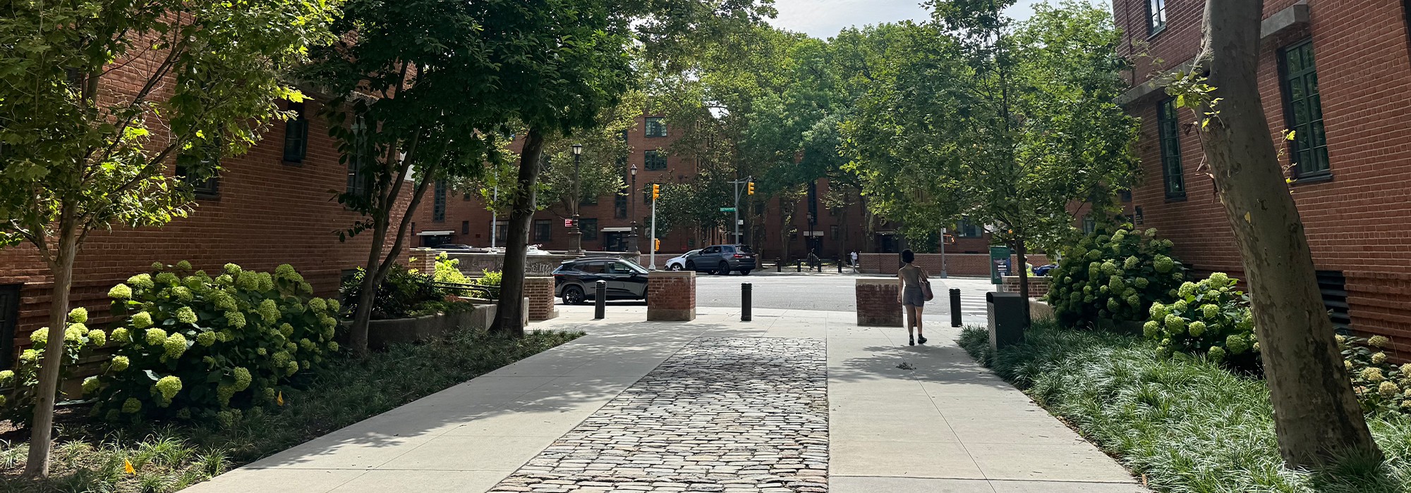 Broad walkway with plantings on either side