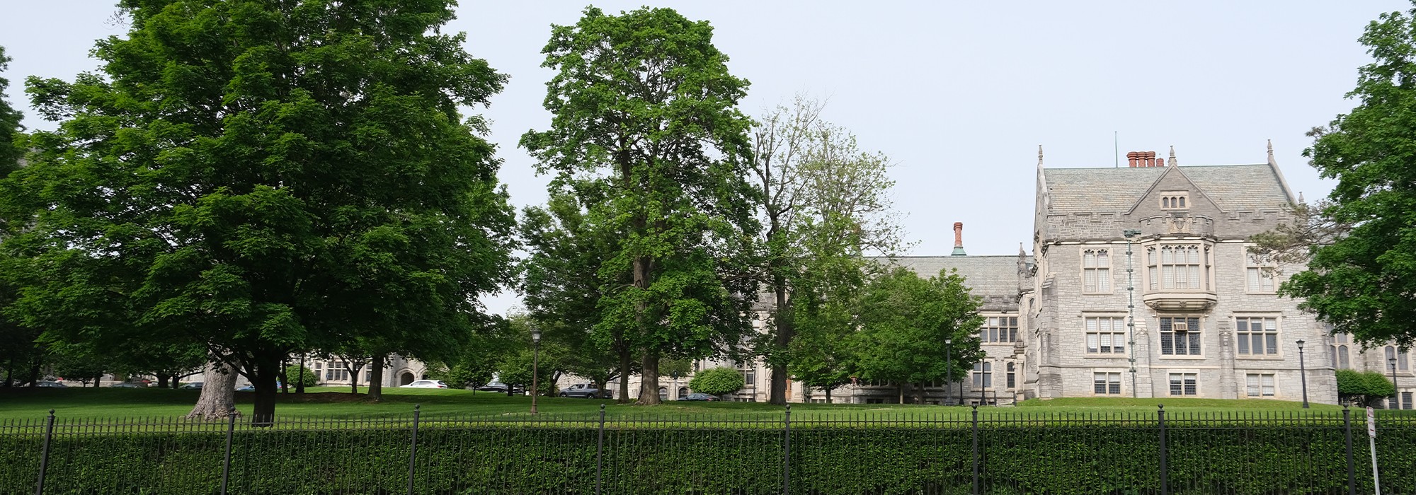 School building on the right, trees on the left, hedge in front