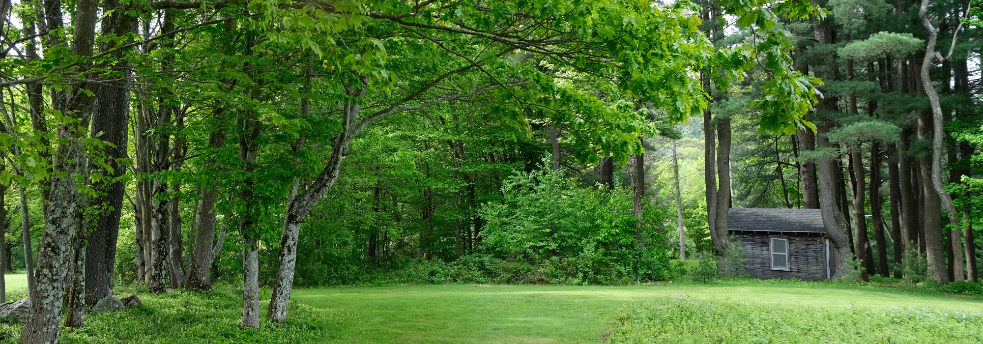 Small cabin on the right surrounded by trees