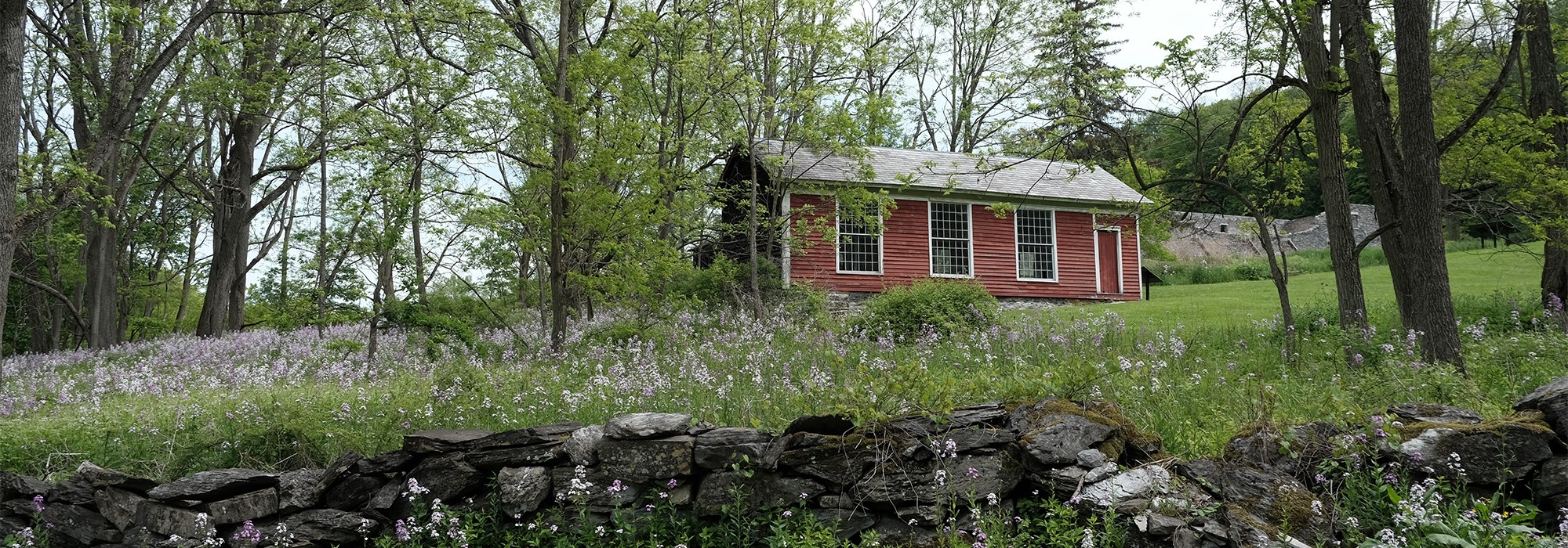 Stone wall and wildflowers in foreground; red, wood building and trees in background
