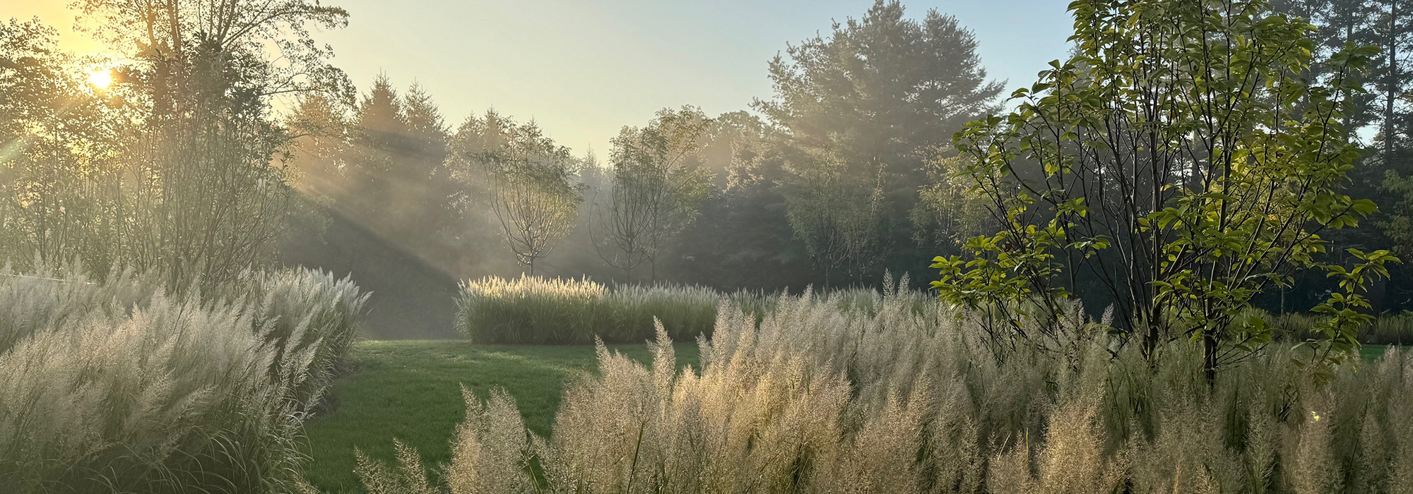 Modernista Garden, New Canaan, CT