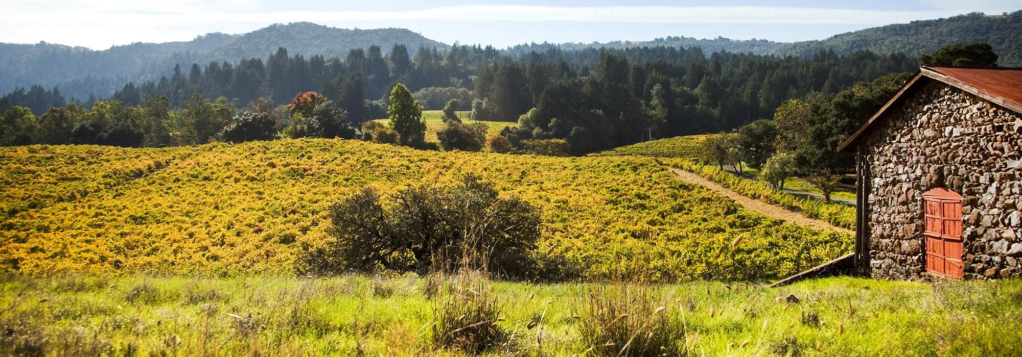 Jack London State Historic Park, Glen Ellen, CA