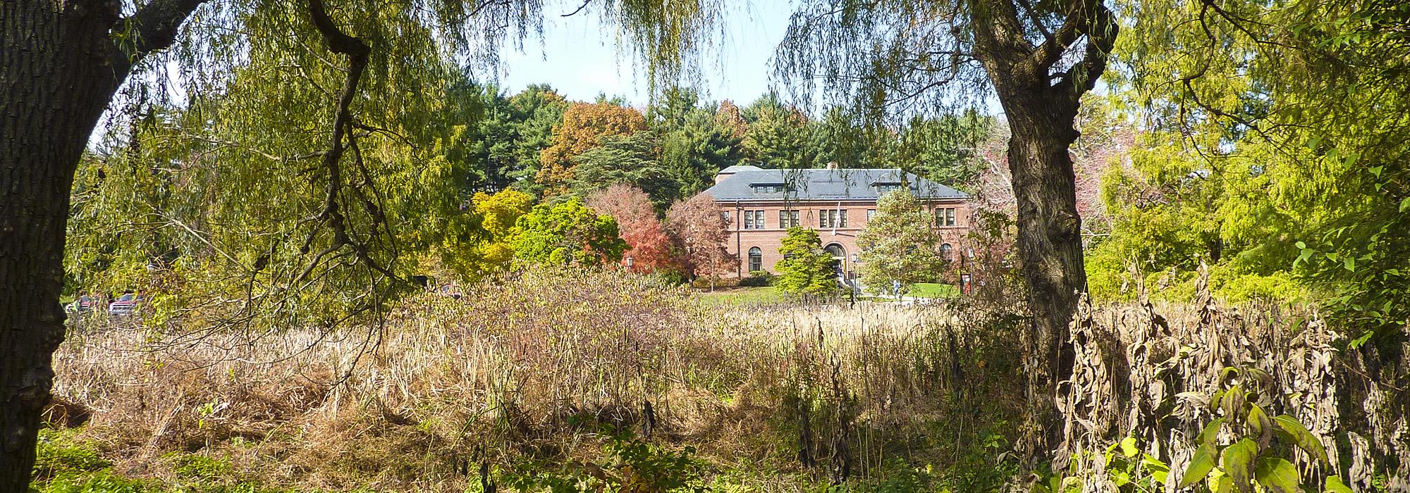 Arnold Arboretum, Boston, MA