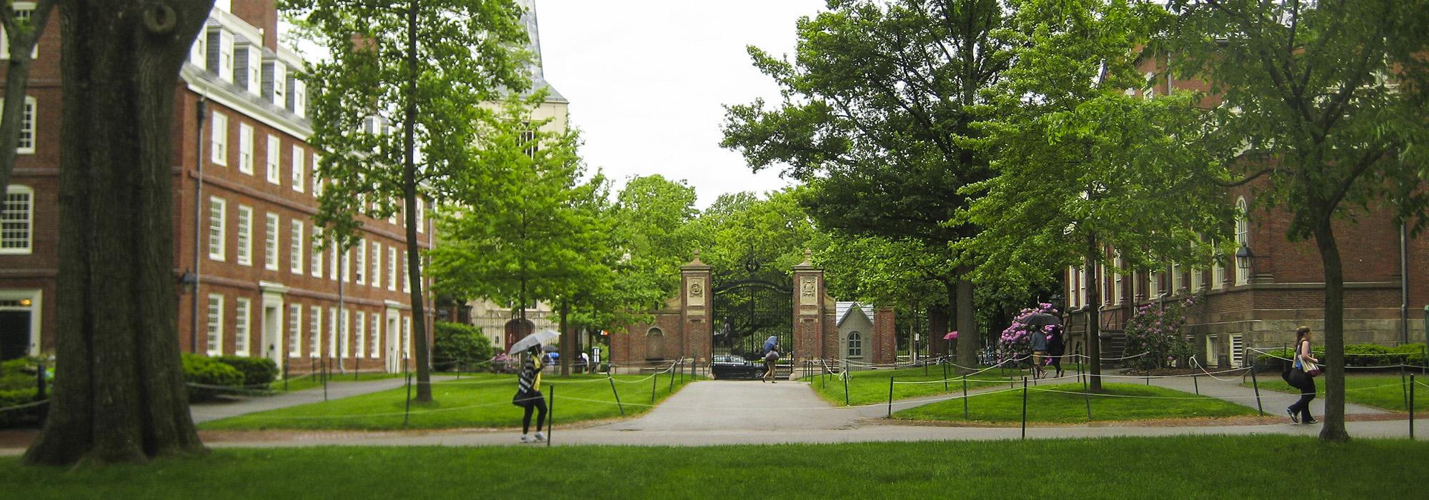 Harvard Yard, Cambridge, MA