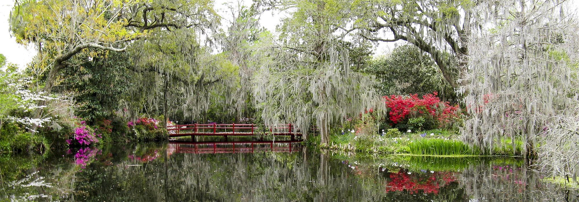 Magnolia Plantation, Charleston, SC