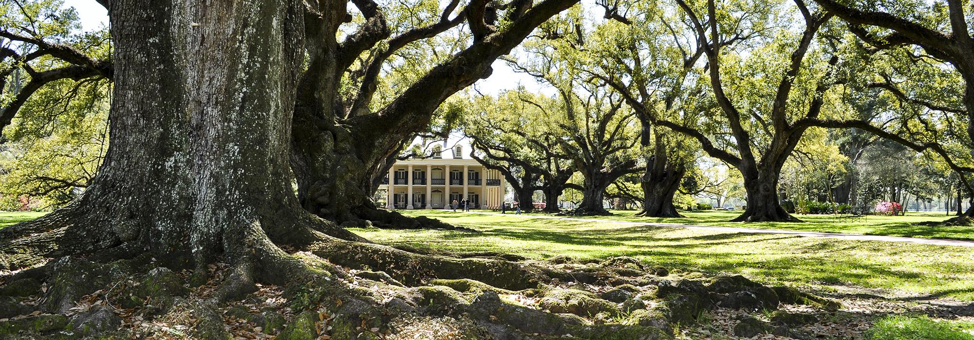 Oak Alley Plantation, Vacherie, LA