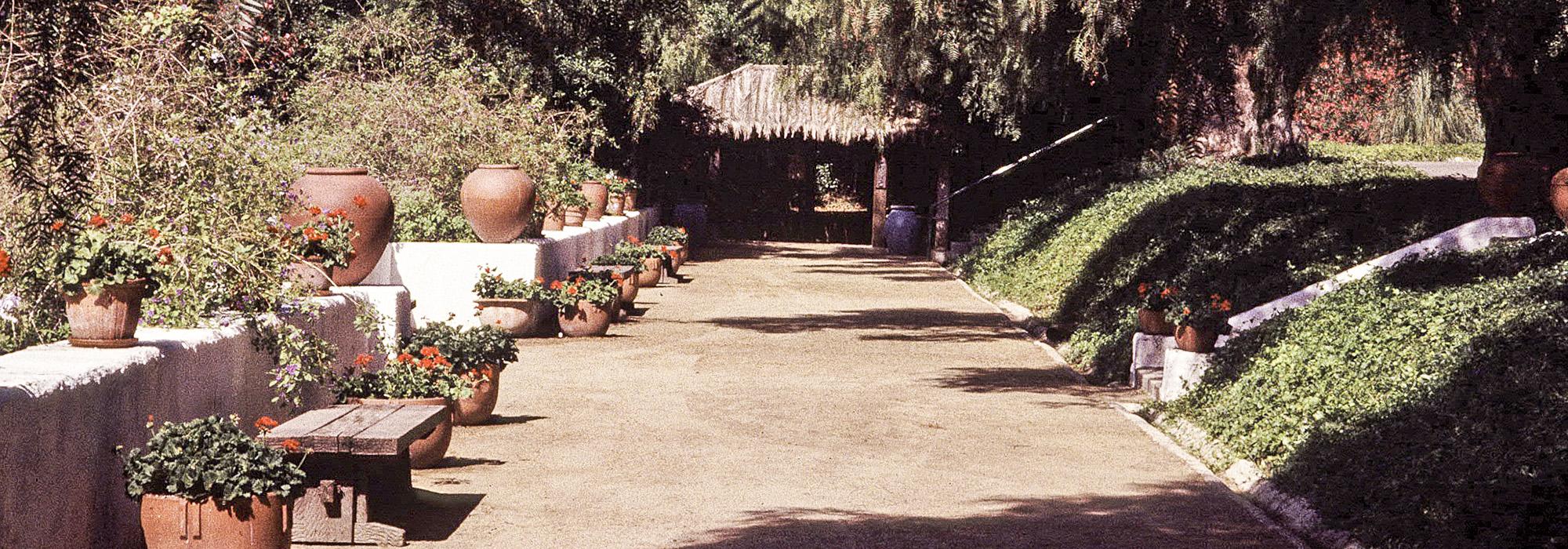 Rancho Los Alamitos