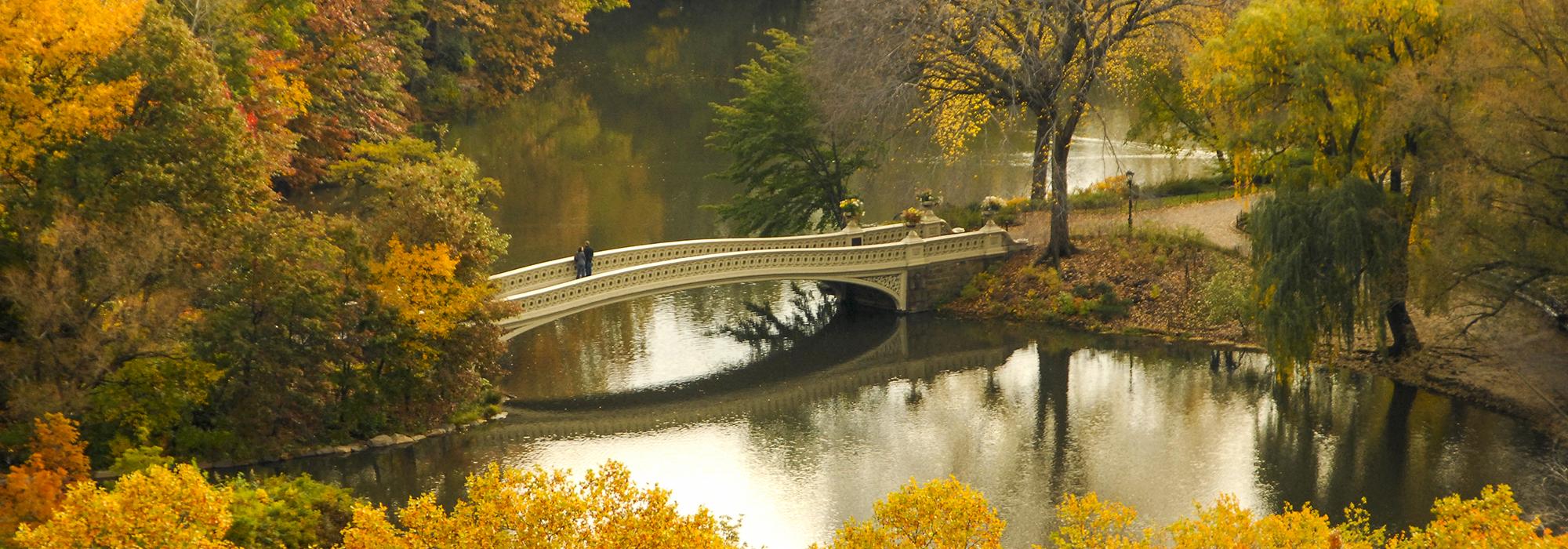File:Parku qendror qyteti i Fierit(Central park City of Fier).jpg - Wikimedia Commons