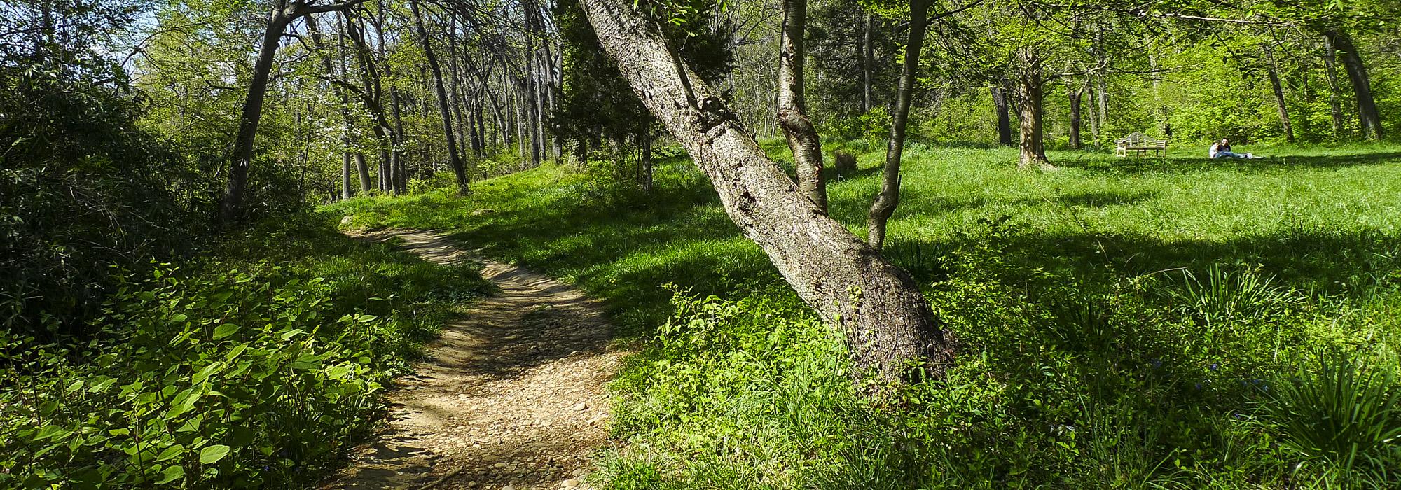 DumbartonOaksPark.jpg DumbartonOaksPark.jpg
