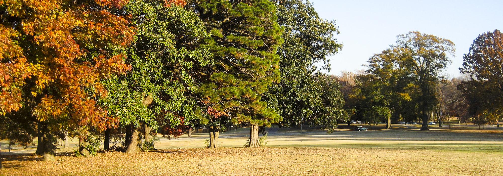 Overton Park, Memphis, TN