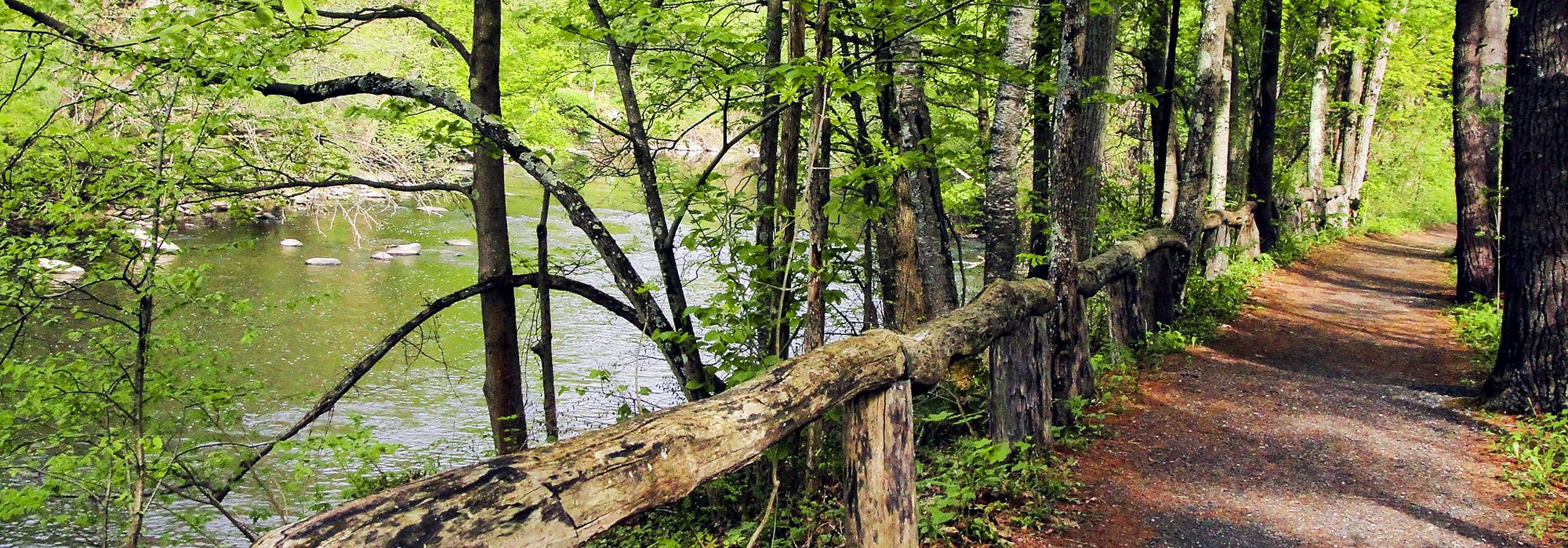 Mary Flynn Trail, Stockbridge, MA