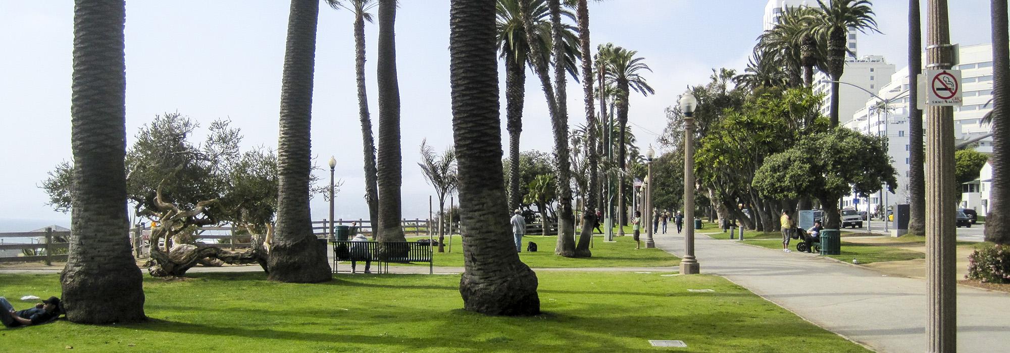 How to Donate to the Palisades Neighborhood Fund – Palisades
