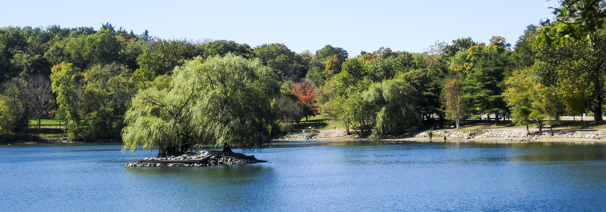 Jamaica Pond