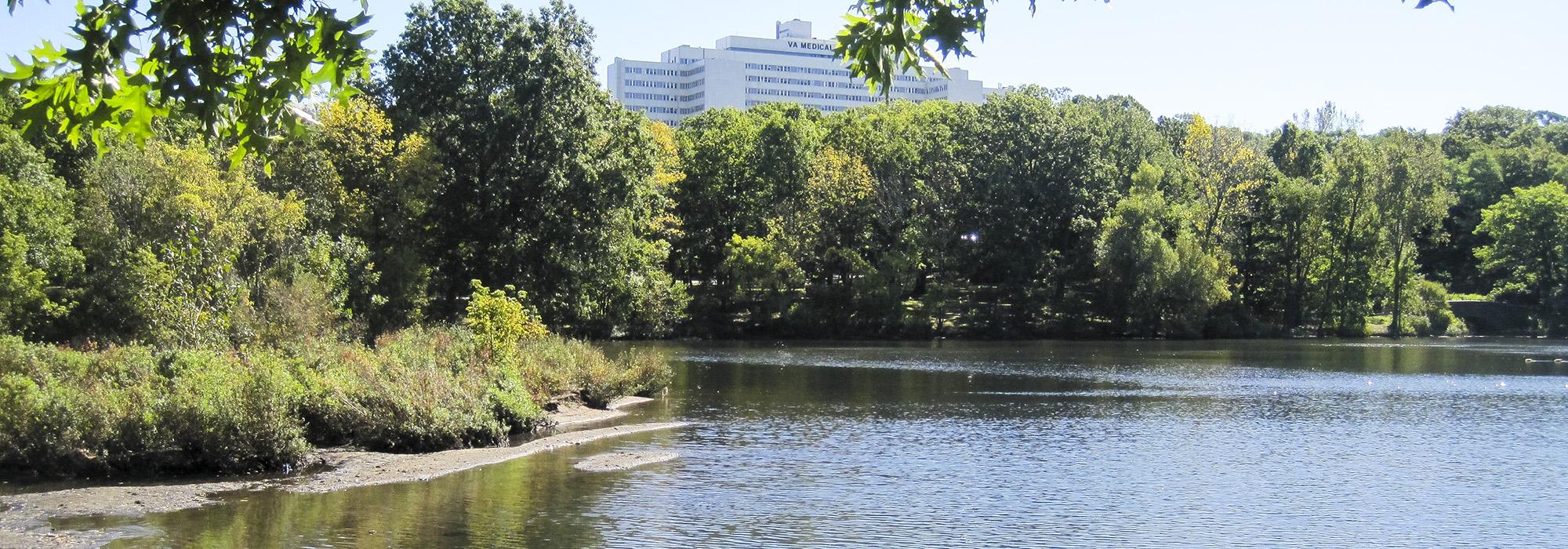 Olmsted Park, Boston, MA