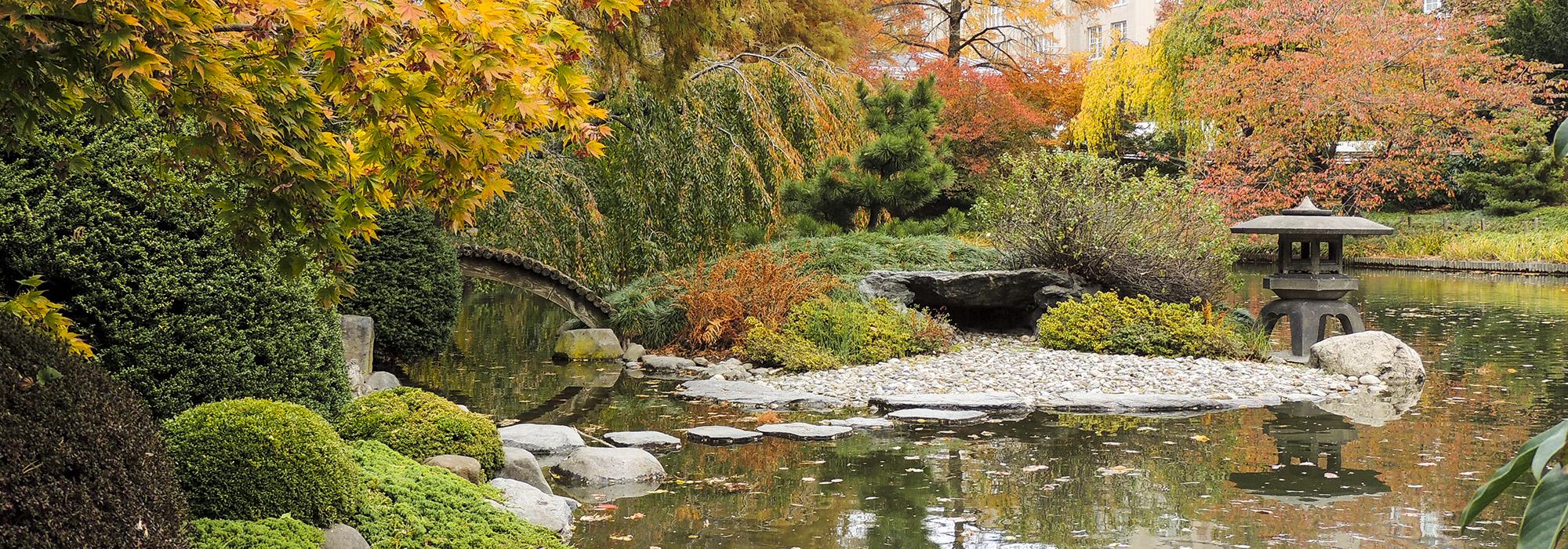 JapaneseHill-and-PondGarden.jpg JapaneseHill-and-PondGarden.jpg