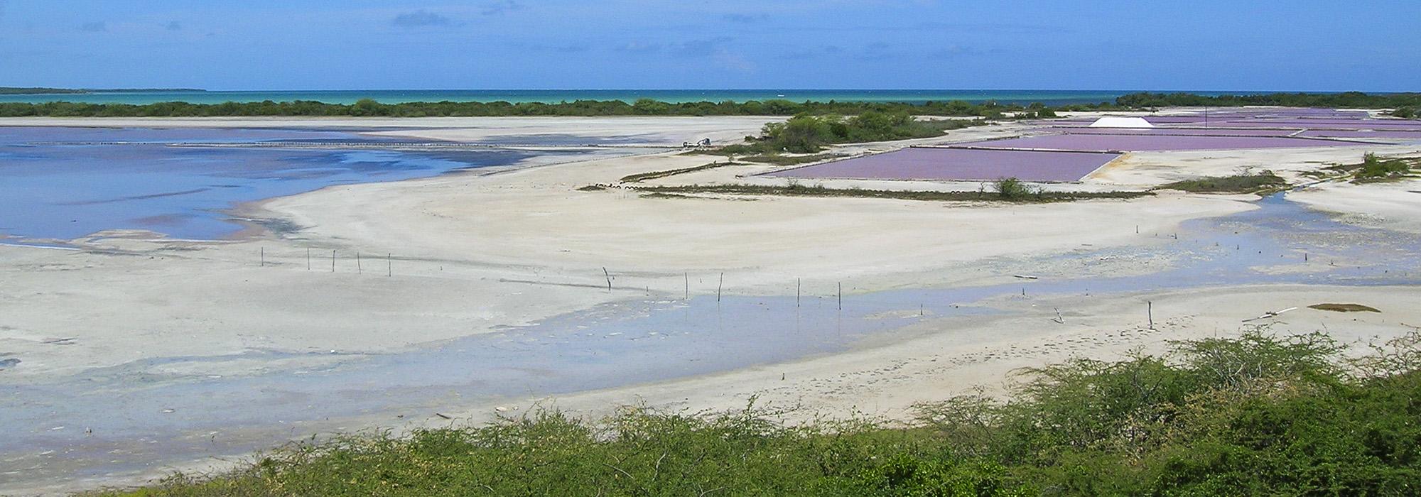 These Salt Flats in Puerto Rico Are Cotton-Candy Pink