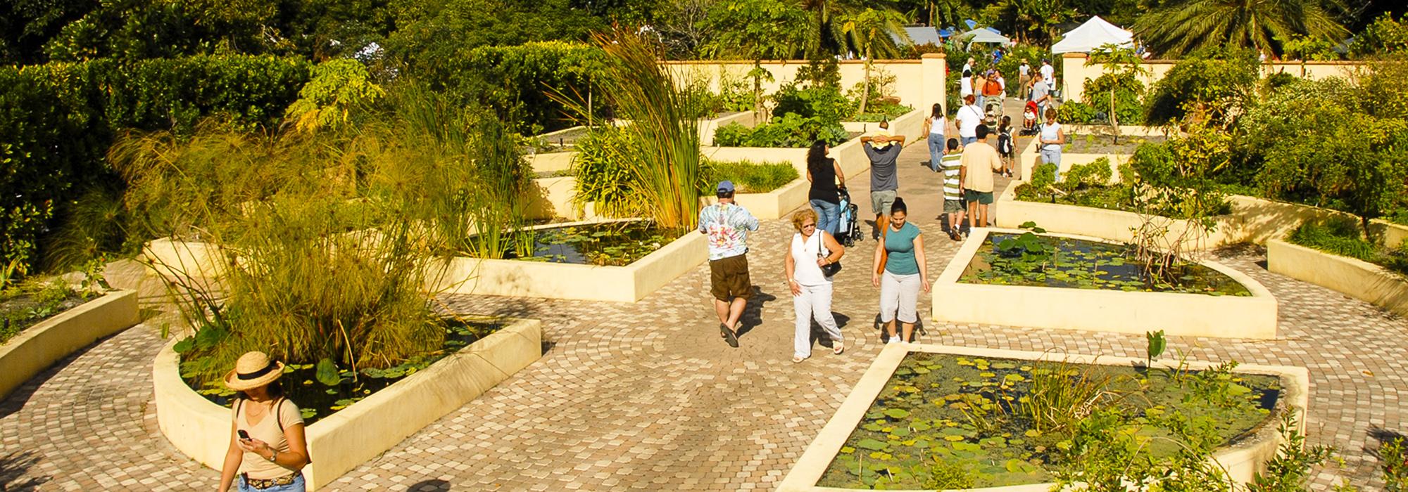 Fruit & Spice Park Activities