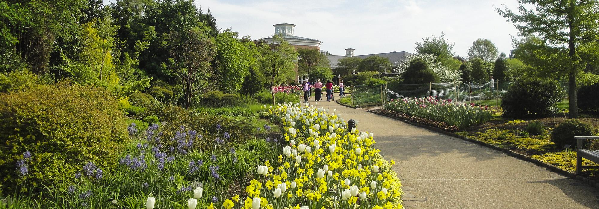 Lewis Ginter Botanical Garden, Richmond, Henrico, VA