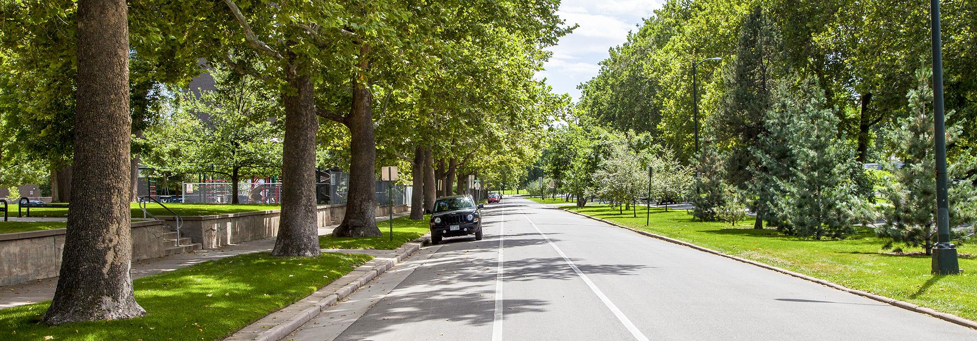 South Marion Street Parkway, Denver