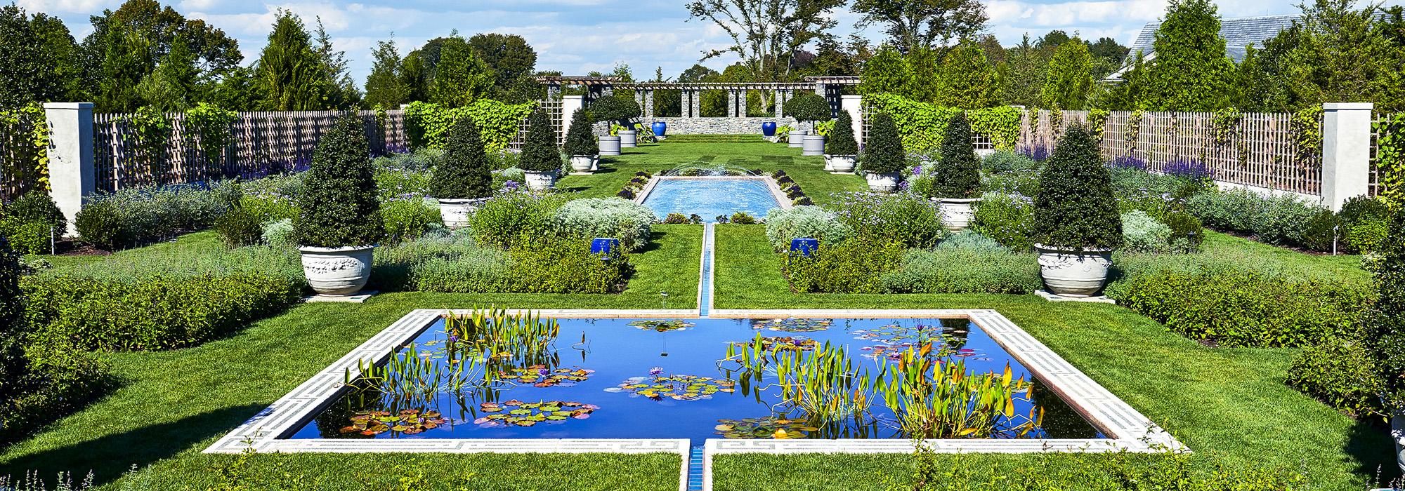 BlueGarden.jpg BlueGarden.jpg