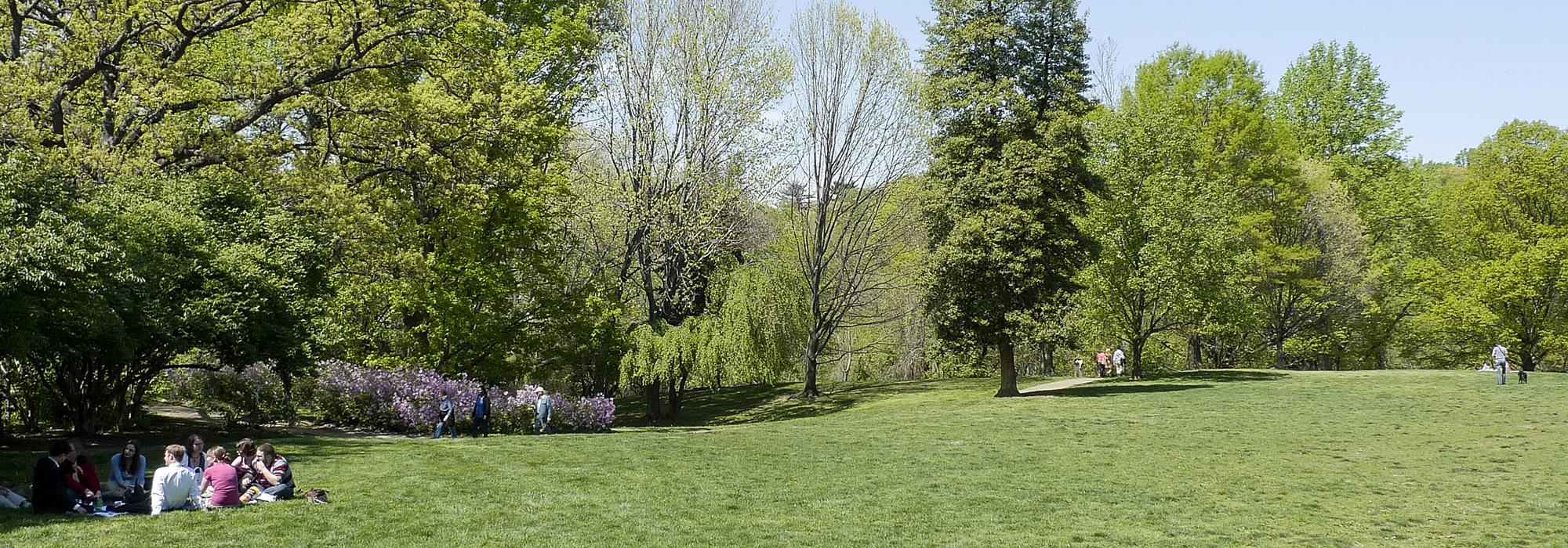 Montrose Park, Washington, DC