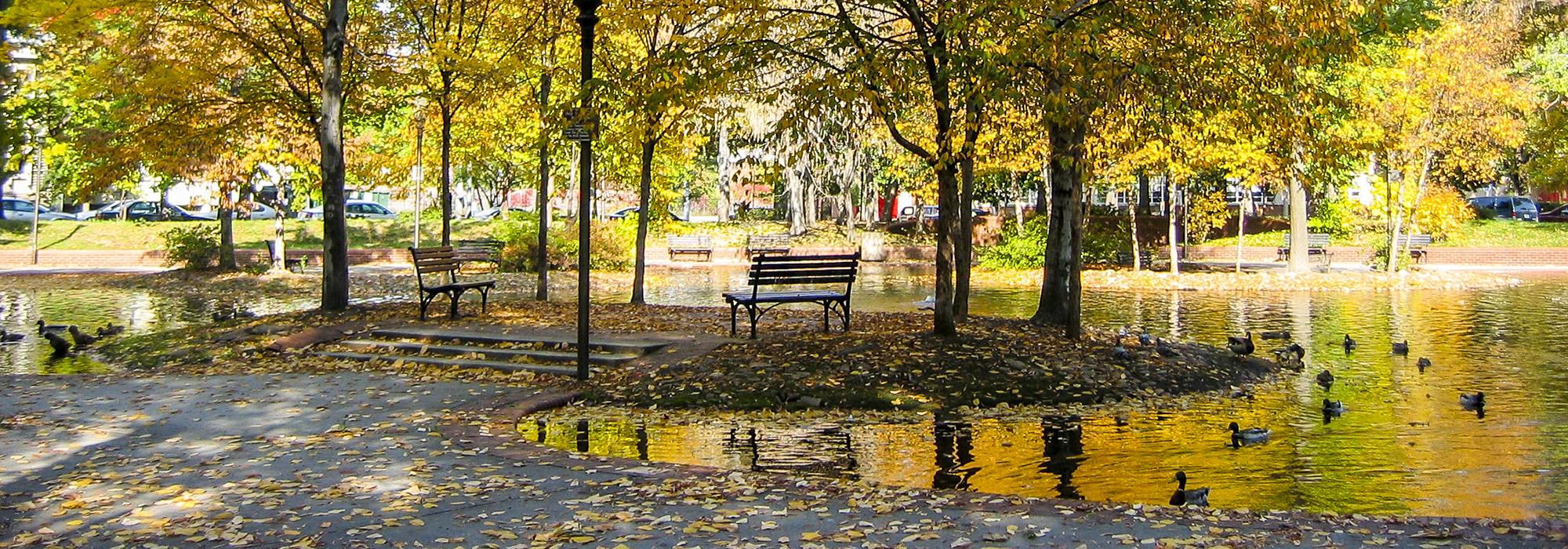 Southwest Duck Pond, Washington, D.C.