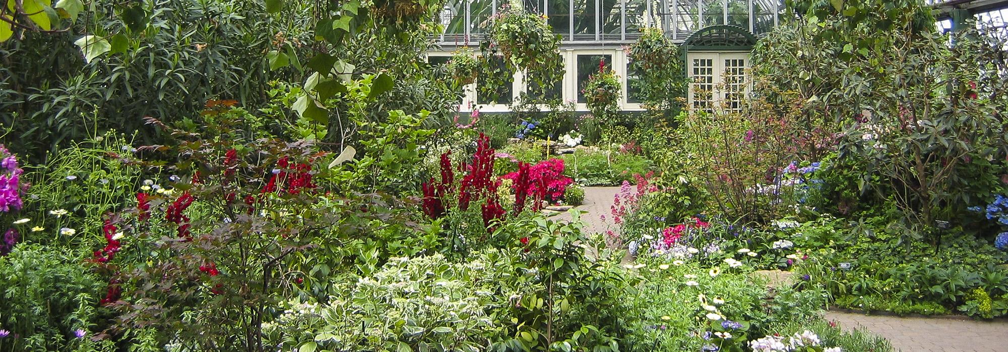 Garfield Park Conservatory, Chicago, IL