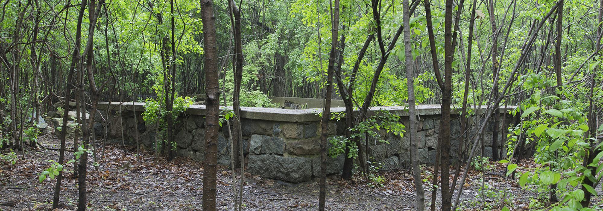 Sanctuary Woods, Asylum Patio