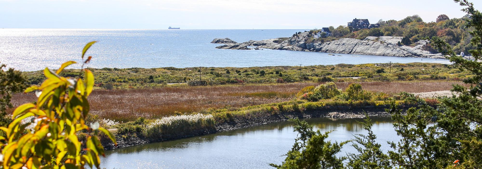 Norman Bird Sanctuary, Middletown, RI