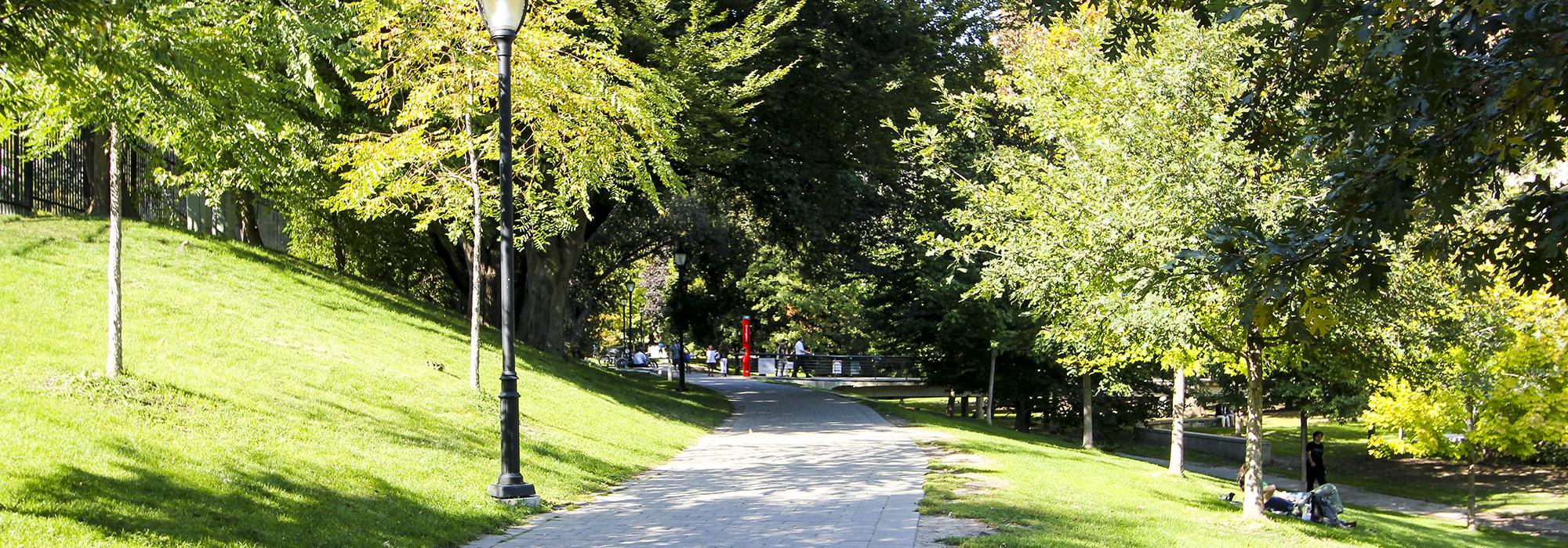 Philosopher's Walk, Toronto