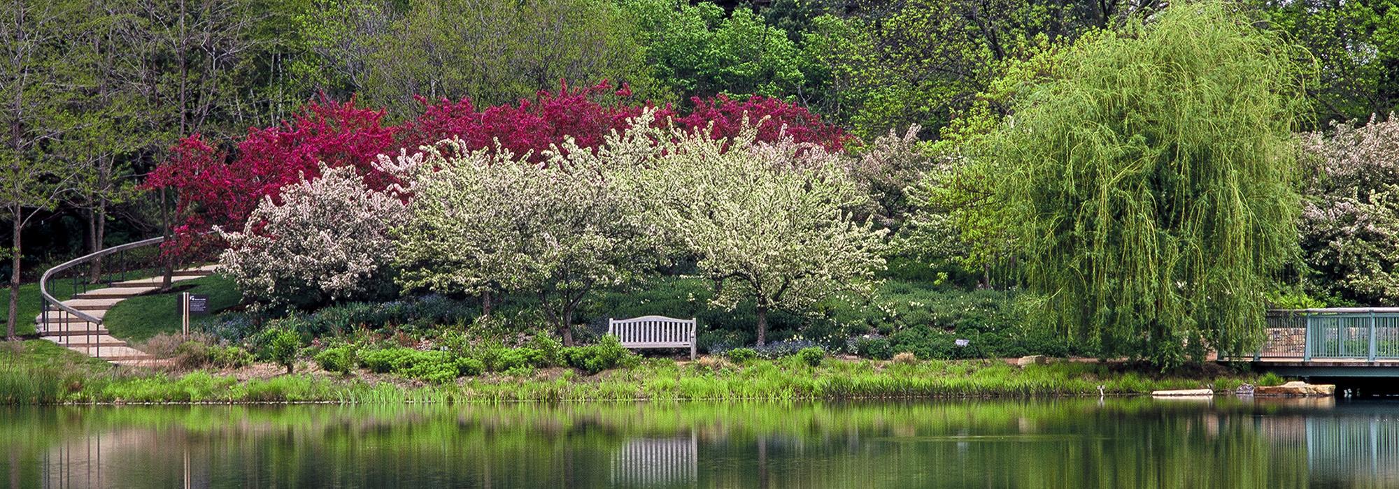 Great Basinand Evening Island, Chicago Botanic Garden