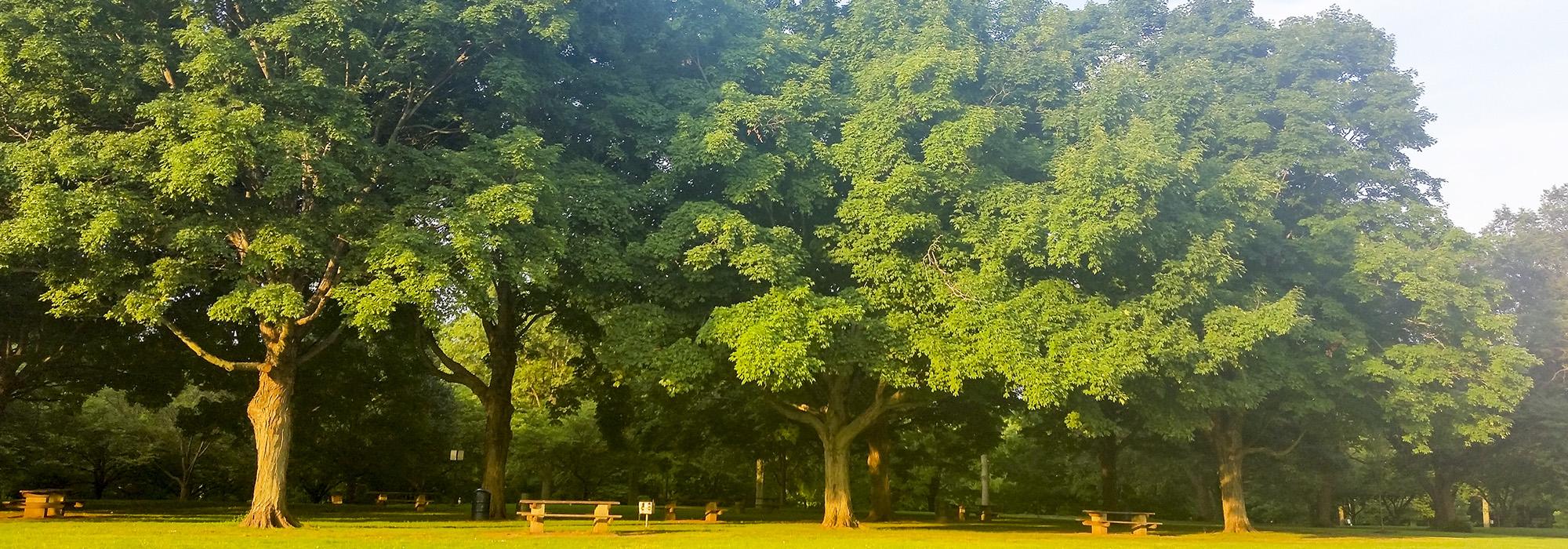 Rahway River Park