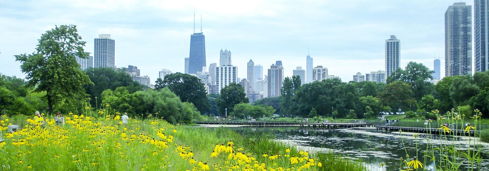 Lincoln Park Zoo, Chicago, IL