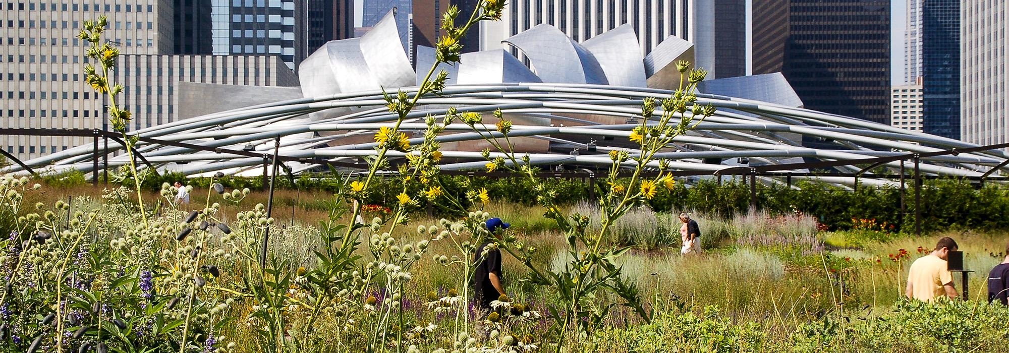 Lurie Garden, Chicago, IL