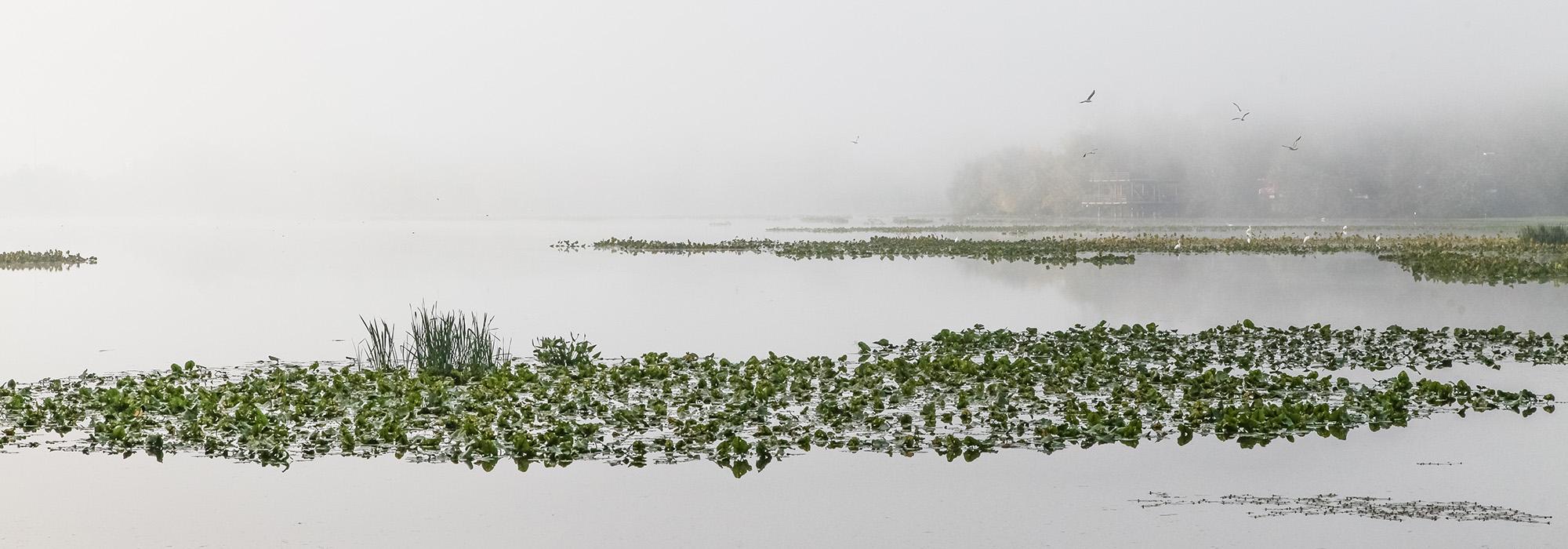 John Heinz National Wildlife Refuge at Tinicum, Philadelphia, PA