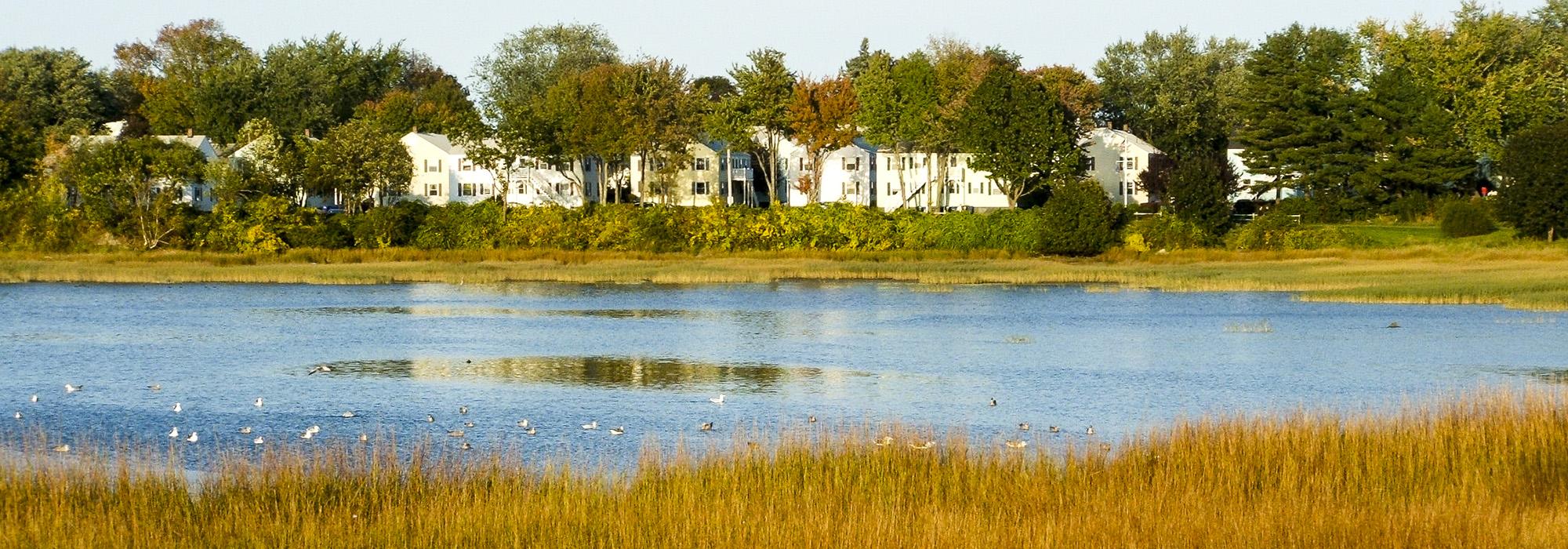 Mill Cove Terrace, Harpswell, ME