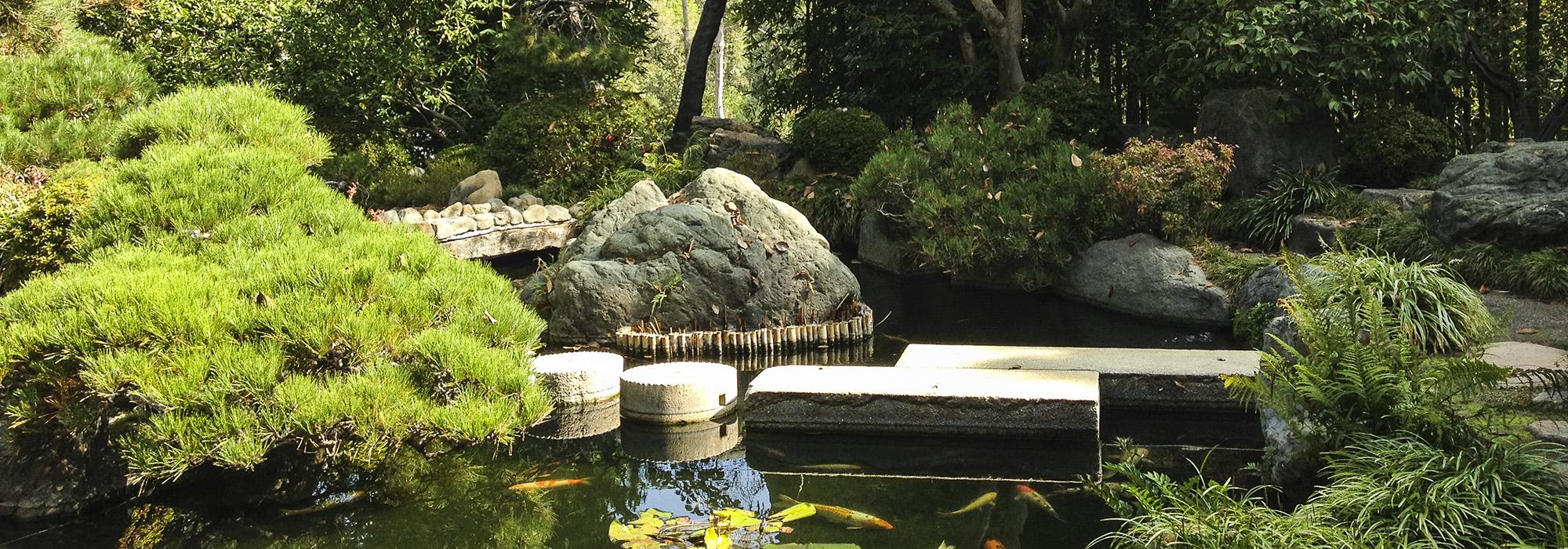 HannahCarterJapaneseGarden.jpg HannahCarterJapaneseGarden.jpg
