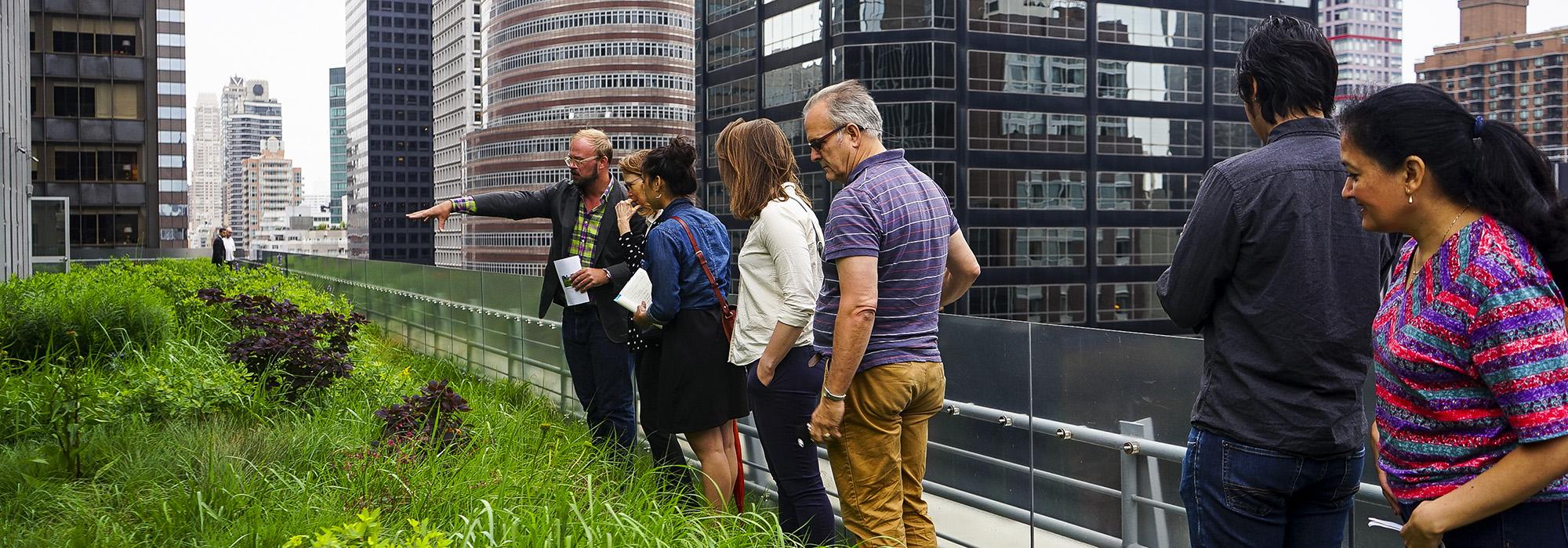 Midtown Sky Garden